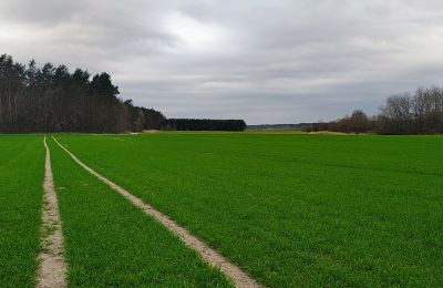 Herrenhaus/Gutshaus kaufen Raszków, Heiligkreuz, Foto 7/16