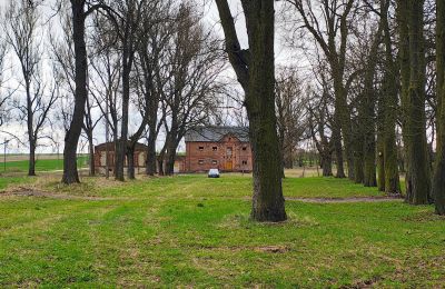 Herrenhaus/Gutshaus kaufen Raszków, Heiligkreuz, Foto 12/16