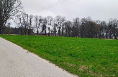 Herrenhaus/Gutshaus kaufen Raszków, Heiligkreuz, Foto 14/16