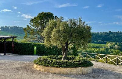 Landhaus kaufen Fermo, Marken, Foto 72/81