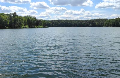 Herrenhaus/Gutshaus kaufen Lebus, Foto 13/16