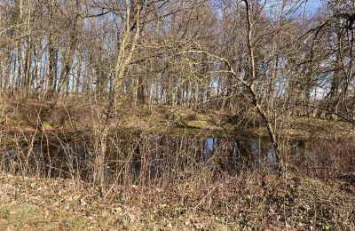 Schloss kaufen Kępica, Kępica 20 A, Westpommern, Foto 12/13