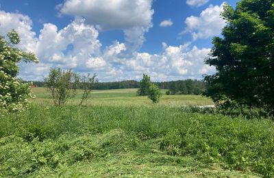 Landhaus kaufen Bądze, Ermland-Masuren, Foto 6/8