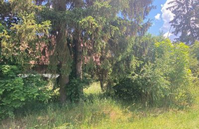 Landhaus kaufen Bądze, Ermland-Masuren, Foto 5/8