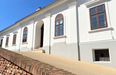 Herrenhaus/Gutshaus kaufen Tömörd, Fő utca 11, Komitat Vas, Eingang