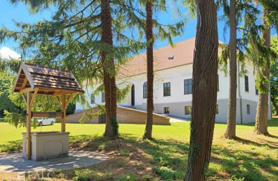 Herrenhaus/Gutshaus kaufen Tömörd, Fő utca 11, Komitat Vas, Foto 5/21