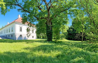 Herrenhaus/Gutshaus kaufen Tömörd, Fő utca 11, Komitat Vas, Park