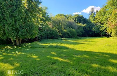 Herrenhaus/Gutshaus kaufen Tömörd, Fő utca 11, Komitat Vas, Park