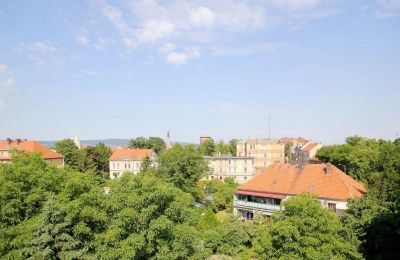Schloss kaufen Jawor, Armii Krajowej 7, Niederschlesien, Foto 15/20