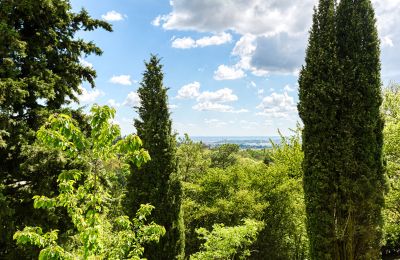 Herrenhaus/Gutshaus kaufen Limonest, Auvergne-Rhône-Alpes, Foto 6/10