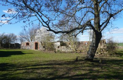 Herrenhaus/Gutshaus kaufen Brandenburg, Runine - ehem. Verwalterhaus