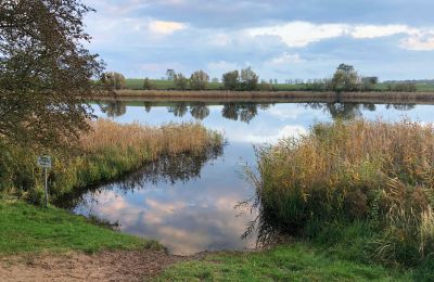 Herrenhaus/Gutshaus kaufen Brandenburg, Badesee in der Umgebung