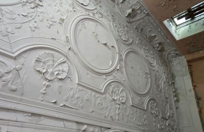 Herrenhaus/Gutshaus kaufen Wroniniec, Niederschlesien,, Foto 2/6