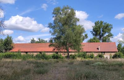 Herrenhaus/Gutshaus kaufen 66-300 Bobowicko, Lebus, Foto 11/14