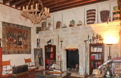 Burg kaufen Narros de Saldueña, Teniente Cecilio López 48, Kastilien und León, Foto 16/20
