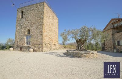 Turm kaufen 06010 Monte Santa Maria Tiberina, Umbrien, Foto 27/65