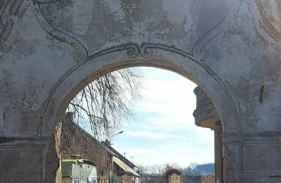Schloss kaufen Ronov nad Doubravou, Moravany  1, okres Chrudim, Foto 2/17