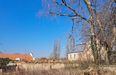 Schloss kaufen Ronov nad Doubravou, Moravany  1, okres Chrudim, Foto 16/17
