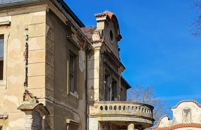 Schloss kaufen Ronov nad Doubravou, Moravany  1, okres Chrudim, Foto 6/17