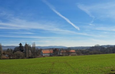 Schloss kaufen Ronov nad Doubravou, Moravany  1, okres Chrudim, Foto 17/17