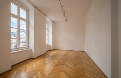 Stadtpalais kaufen Mainz, Klarastraße  4c, Rheinland-Pfalz, Foto 6/22