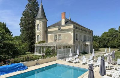Schloss kaufen La Roche-Posay, Neu-Aquitanien, Foto 5/41