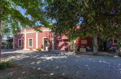 Landhaus kaufen Francavilla Fontana, Apulien, Foto 4/30