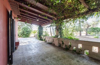 Landhaus kaufen Francavilla Fontana, Apulien, Foto 19/30