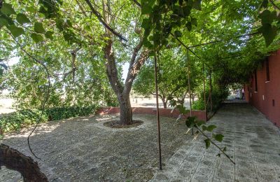 Landhaus kaufen Francavilla Fontana, Apulien, Foto 20/30