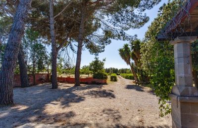 Landhaus kaufen Francavilla Fontana, Apulien, Foto 26/30