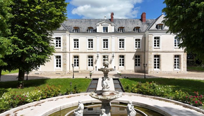 Schloss kaufen Provins, Île-de-France