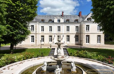 Schloss Provins, Île-de-France