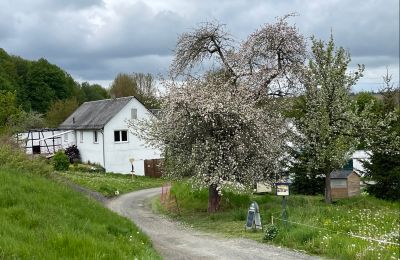 Historische Immobilie kaufen 07907 Schleiz, Thüringen, Zufahrt