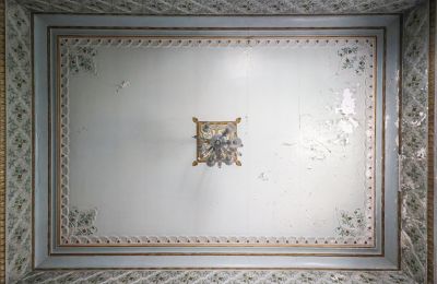 Historische Villa kaufen Craiova, Bd. Nicolae Titulescu 4, Dolj, Foto 5/38