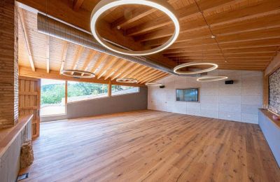 Landhaus kaufen Sant Joan de Mediona, Katalonien, Foto 8/35