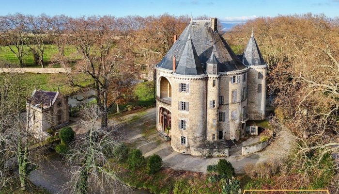 Burg kaufen Valence, Auvergne-Rhône-Alpes