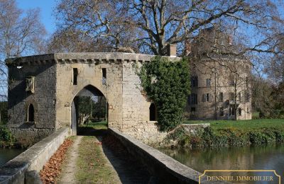 Burg kaufen Valence, Auvergne-Rhône-Alpes, Foto 3/28