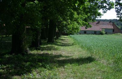 Herrenhaus/Gutshaus kaufen Rogów Wołowski, Niederschlesien, Foto 20/25