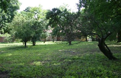 Herrenhaus/Gutshaus kaufen Rogów Wołowski, Niederschlesien, Foto 19/25