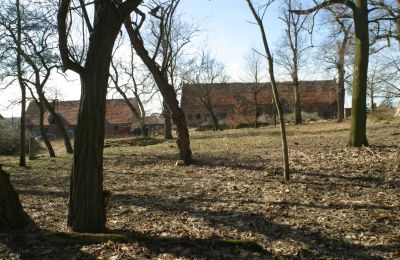 Herrenhaus/Gutshaus kaufen Rogów Wołowski, Niederschlesien, Foto 10/25