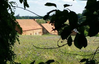 Herrenhaus/Gutshaus kaufen Rogów Wołowski, Niederschlesien, Foto 6/25