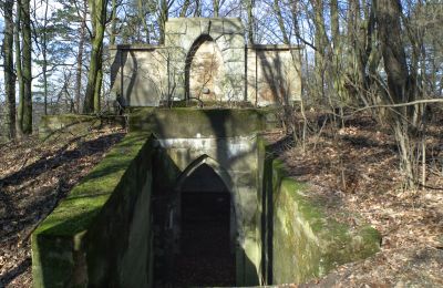 Herrenhaus/Gutshaus kaufen Rogów Wołowski, Niederschlesien, Foto 11/25