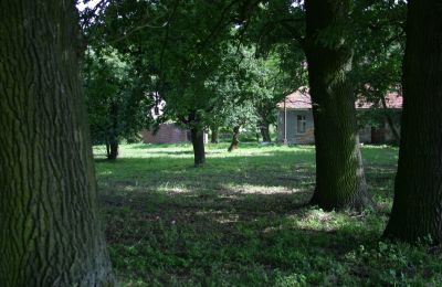 Herrenhaus/Gutshaus kaufen Rogów Wołowski, Niederschlesien, Foto 21/25