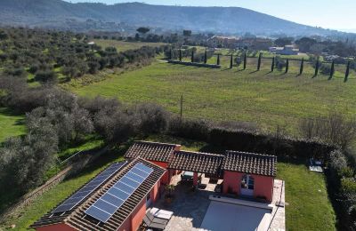 Historische Villa kaufen Cortona, Toskana, Foto 15/66
