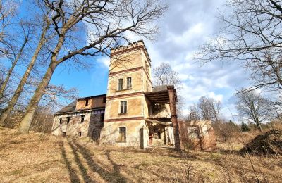 Historische Villa kaufen Staniszów, Niederschlesien, Foto 9/38