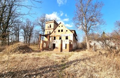Historische Villa kaufen Staniszów, Niederschlesien, Foto 12/38