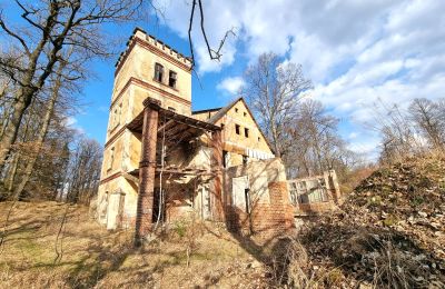 Historische Villa kaufen Staniszów, Niederschlesien, Foto 5/38