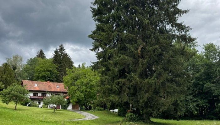  Sankt Stefan ob Stainz 3