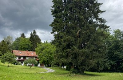 Landhaus kaufen Steiermark, Foto 3/24
