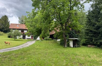 Landhaus kaufen Steiermark, Foto 2/24
